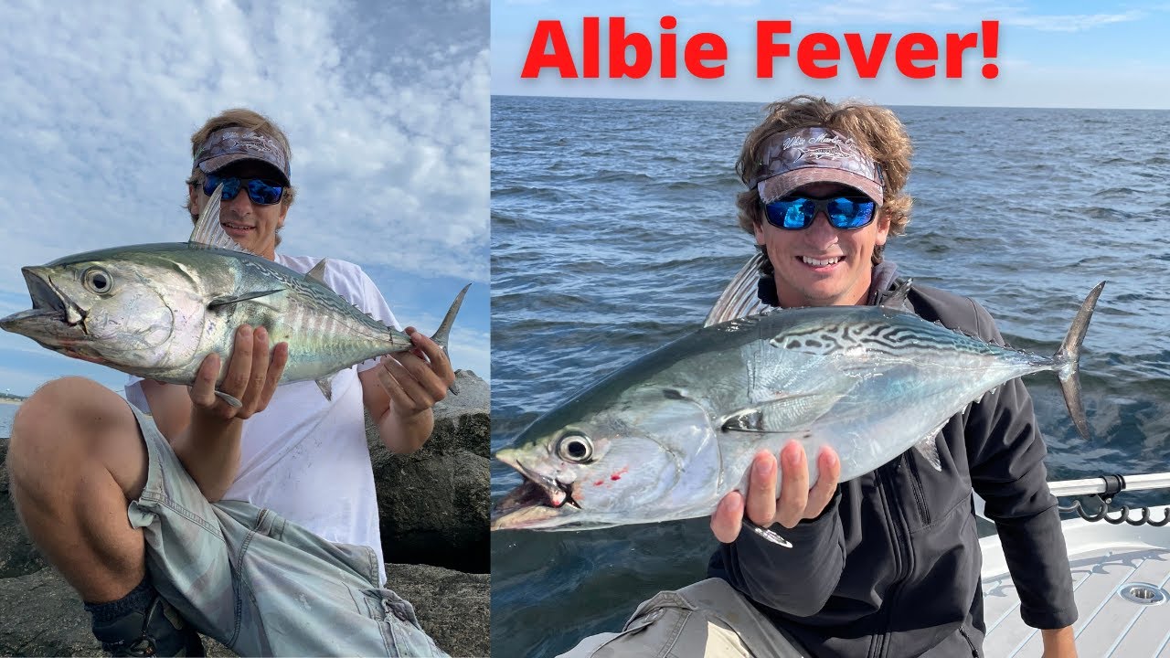 Fishing for Albies & Bonito off the Beach (Rhode Island False Albacore ...