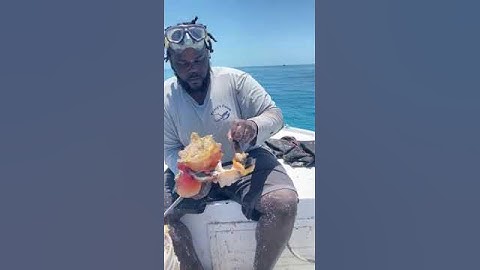 How to remove conch from out of the shell.