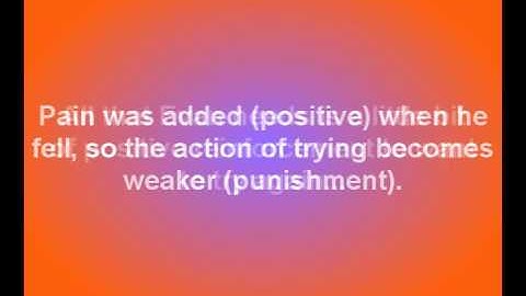 Operant Conditioning Psychology Project