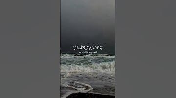 ما تيسر من سورة آل عمرآن #آل_عمران #قرآن_كريم #اكسبلور #لايك