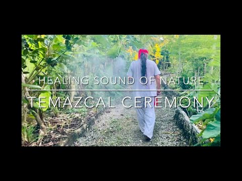 Video: Temazcal: Sweat Lodge tradițional mexican