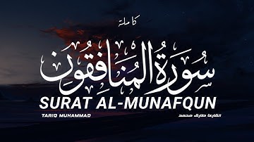 سورة المنافقون كاملة القارئ طارق محمد | SURAT AL-MUNAFQUN Tariq Mohamed