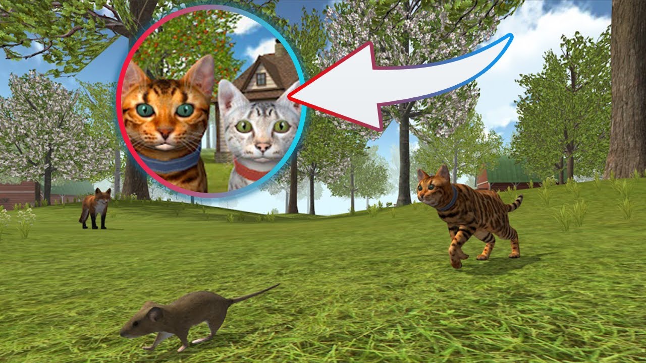 Jogos Simulador de Gato 3D versão móvel andróide iOS apk baixar