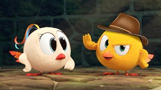 Where&#39;s Chicky? THE ADVENTURERS (S03E03) Cartoon in English for Kids | New episodes