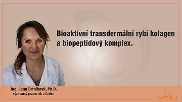 Jak těžit z kolagenu?