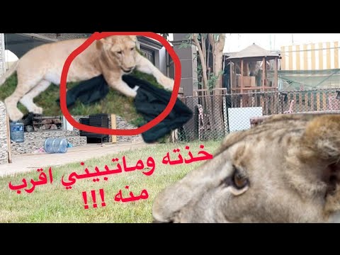 سرقت ملابسي وجوالي واغراضي فيه