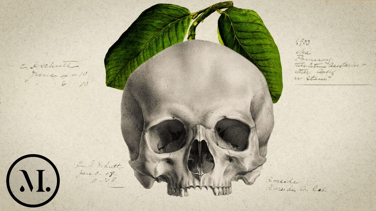 TA choroba zabiła 2 MILIONY ludzi mimo lekarstwa