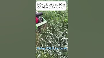Máy cắt cỏ trục băm có băm được cỏ to?