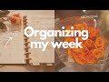 Organizing my Week in my Hourly &amp; Dashboard Planner #weeklyplanwithme