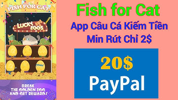 Fish for Cat App Câu Cá Kiếm Tiền Rút Paypal.Min Rút chỉ 2$.