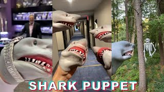 *ALL VIDEOS* of  SHARK PUPPET TikTok Compilation 2022 #2  Funny Shark Puppet TikToks
