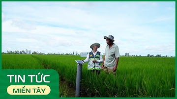 An Giang: Phát huy tốt vai trò các tổ khuyến nông cộng đồng | THDT