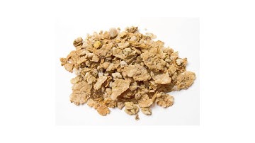 Product Spotlight: Shick USA