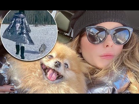 Kate Beckinsale twins with dog in silver jackets to play in the snow