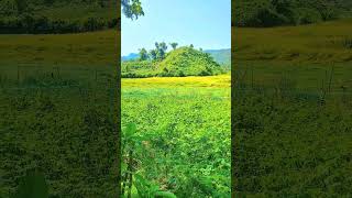 Allah Je Koto Mohan.... Sristi Jogod Tar Proman... #bangladesh #travel #love #religion #coxsbazar