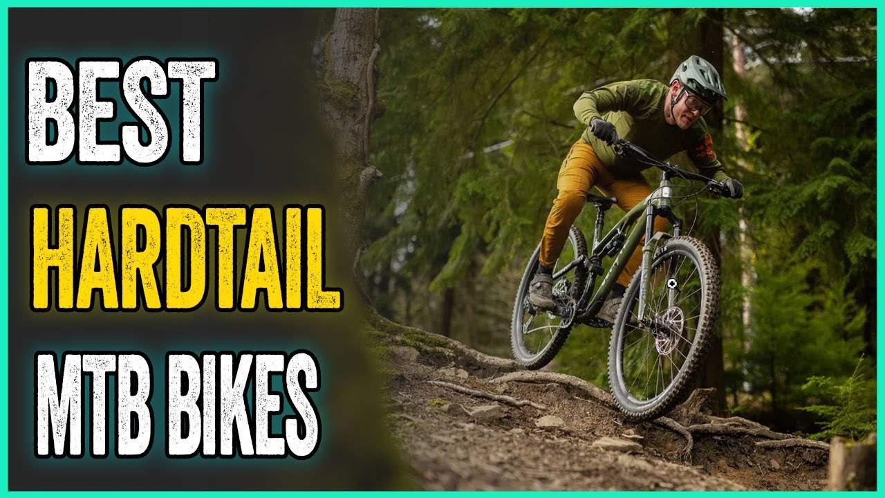 Best Hardtail MTB Bikes