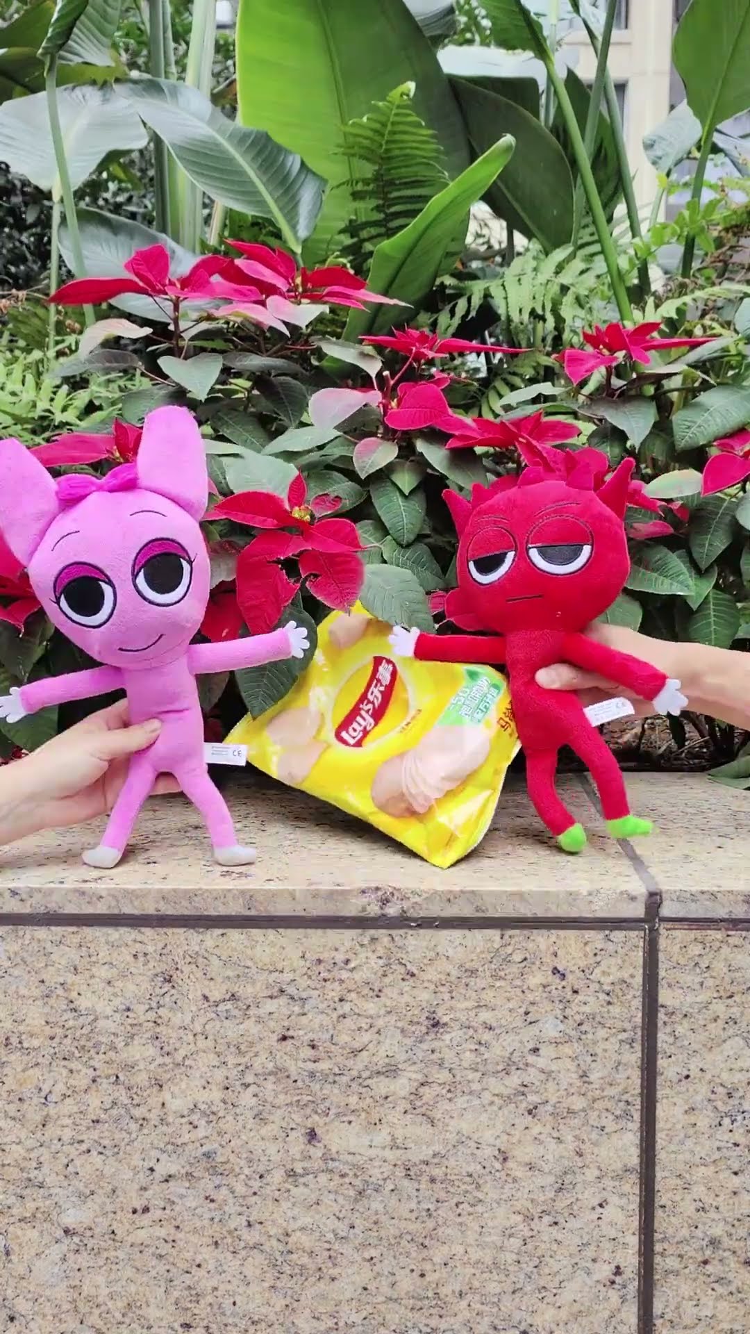 Raddy \u0026 Pinki fight for chips