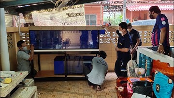 หน่อง Town in Town : ติดตั้งตู้ใหม่ 72" อุปกรณ์พร้อมระบบ O4FS ลงปลาวันเดียวจบ Set 2