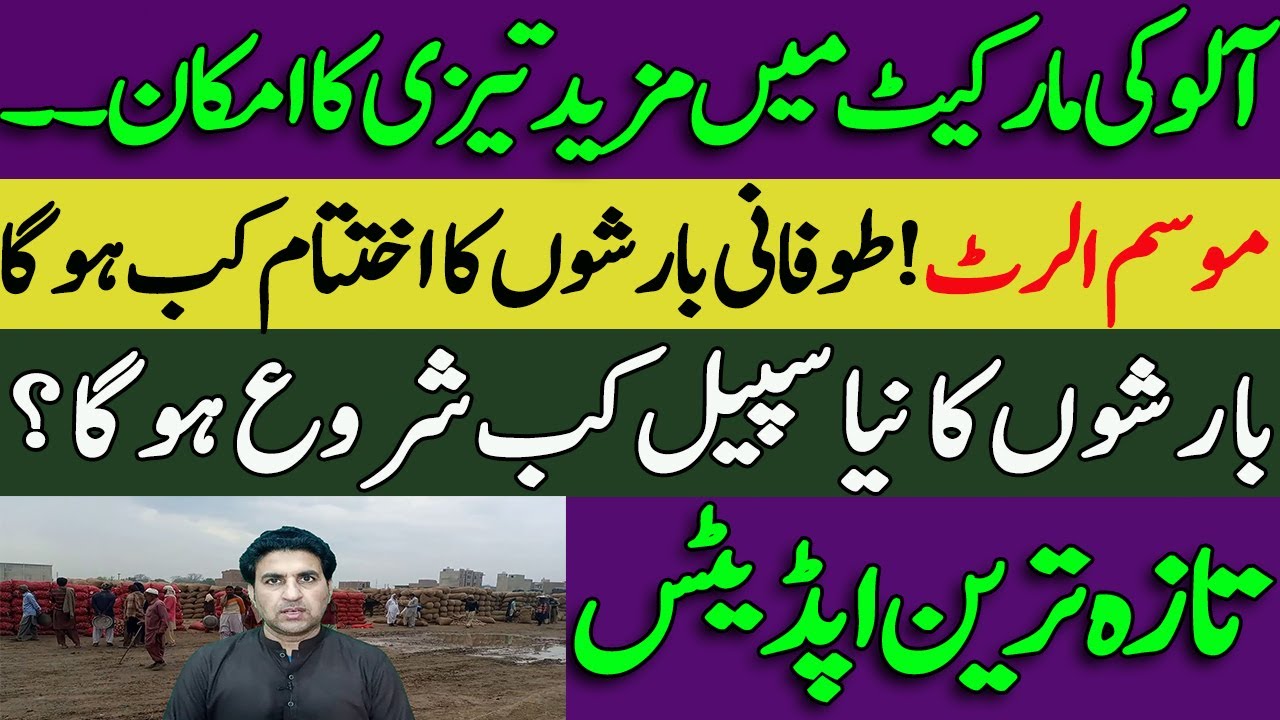 Today Chicken Rate Okara