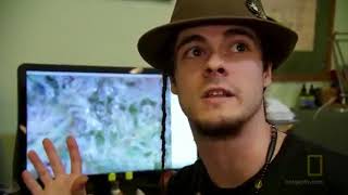Drugs Inc S01E04  Marijuana