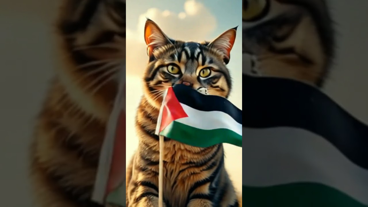 free Palestine 🇵🇸 