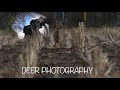 DEER PHOTOGRAPHY | Wildlife photography behind the scene | Wildlife Vlogs
