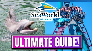 Seaworld Orlando  Everything You Need To Know About The Park!