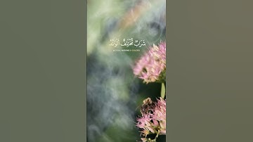 ما تيسر من سوره النحل #قرآن #اكسبلور #راحة_نفسية