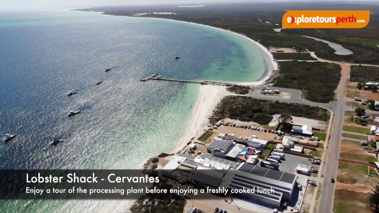 Pinnacles & Lobster Day Tour - Explore Tours Perth