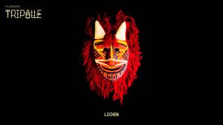 Flembaz - Lichen