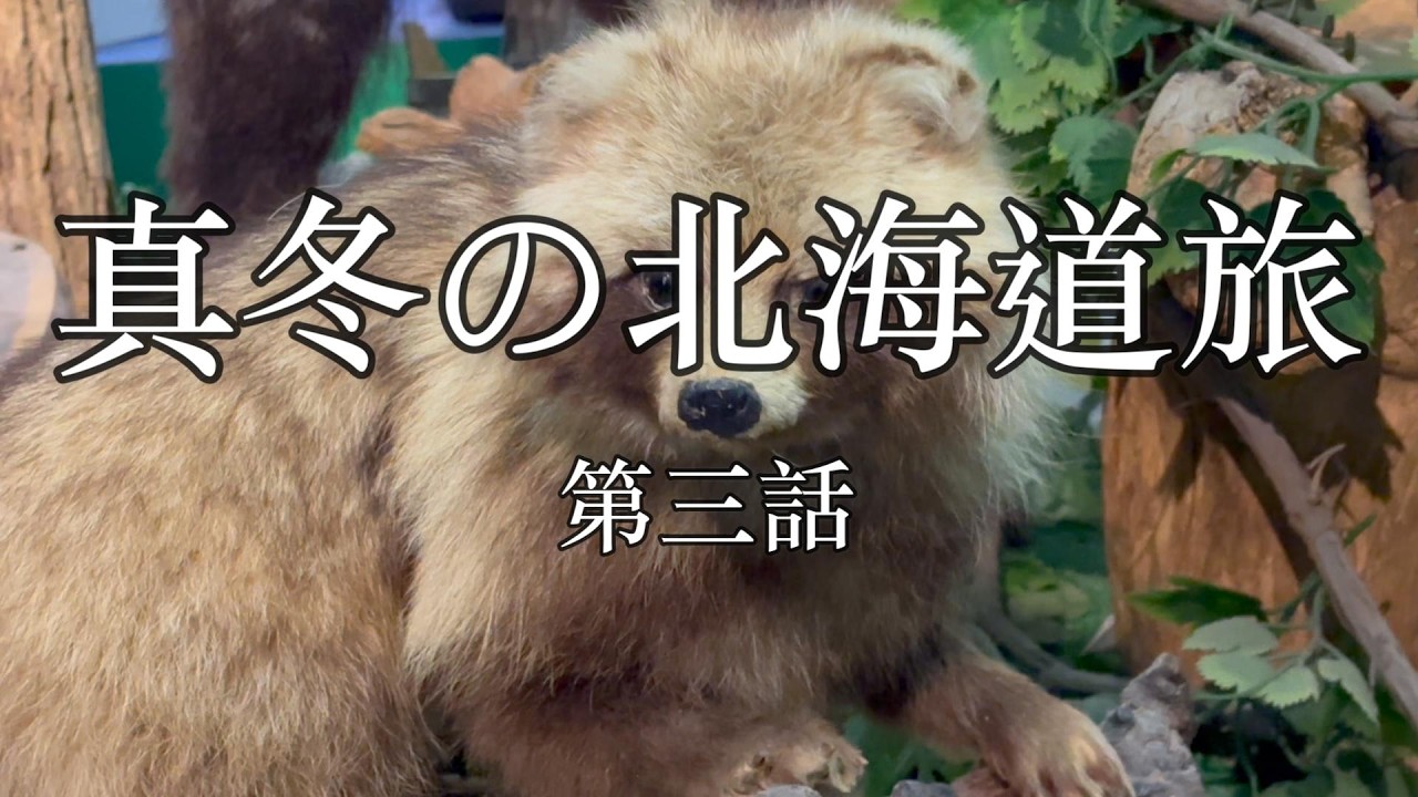 （503）真冬の北海道旅　第三話