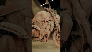 Ducati Detailing #washingmachine #washing #cleaning #clean #bike #moto