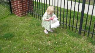 Easter Egg Hunt at Daycare