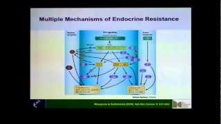 Lady McMahon Memorial Public Lecture (2012): Breast cancer subtypes