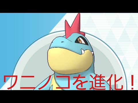 Usum ワニノコのおぼえる技 入手方法など攻略情報まとめ ポケモンウルトラサンムーン 攻略大百科