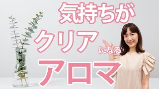 【香りの魅力】行動力につながる香り？生命力溢れるユーカリについて/077