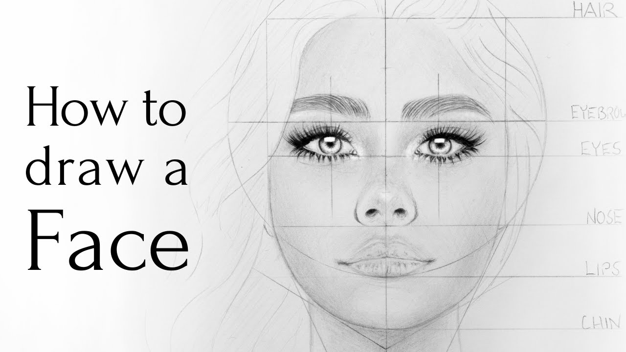 face drawing step by step