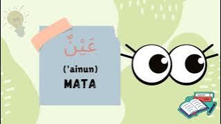 Bahasa arab anggota tubuh || lagu anak islami 'Nada lagu menanam jagung'