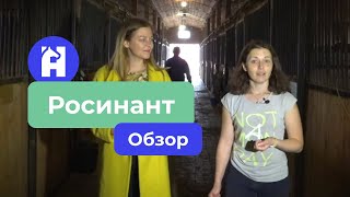 Росинант. Обзор конно-спортивного клуба.