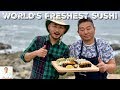 LIVE Crab and LIVE Uni | We Make The Freshest Catch and Sushi Ever (Semi-Graphic)