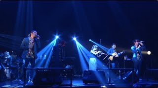 逗子三兄弟 / マイベイビー 〜好きになればなるほど〜 LIVE at 赤坂BLITZ