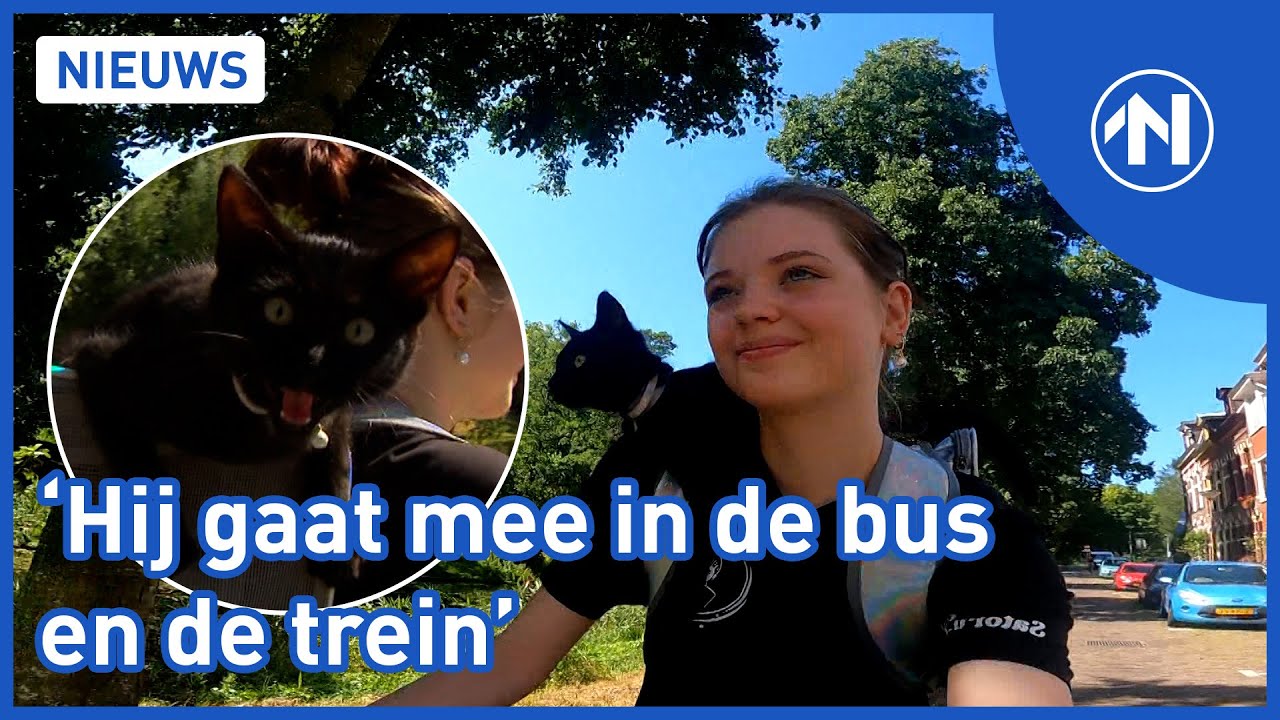 Isabelle neemt kat Benji overal mee naartoe op haar schouder
