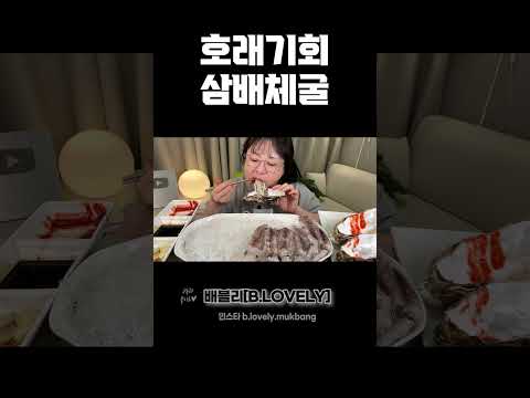 호래기회와 삼배체굴 먹방, 채널 첫 등장! 쫄깃한 호래기회와 크리미한 삼배체굴 ASMR Oysters BabySquid MUKBANG, REAL SOUND EATING SHOW