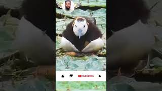 #MB #Zaman 🕋🕌🤲#