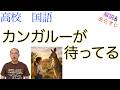 カンガルーが待ってる【現代の国語】教科書あらすじ&解説〈青山 美智子〉