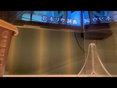 思春期のブルース/GOING UNDER GROUND【歌ってみた】