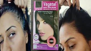 VEGETAL Bio Hair Colour | 100% Brutal & Honest Review. screenshot 5