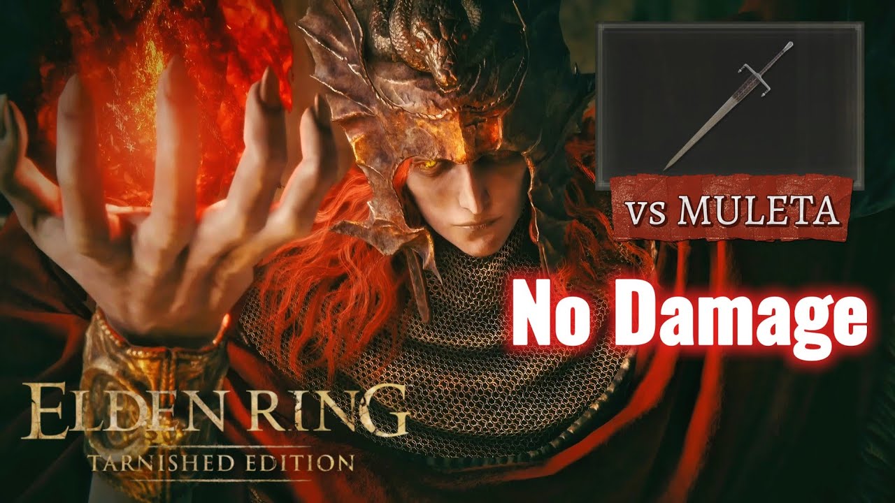 ELDEN RING Tarnished Edition/エルデンリング ターニッシュ