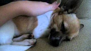 MVI_0957.AVI