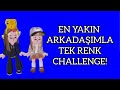 EN YAKIN ARKADAŞIMLA TEK RENK CHALLENGE!!